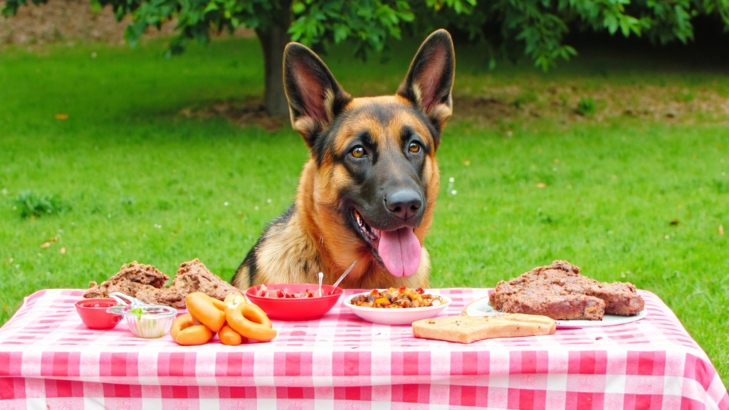 Grilled Chicken and Dog at Picnic Image showing safe meat alternatives for German Shepherd dogs at BBQs, with a balanced color profile.