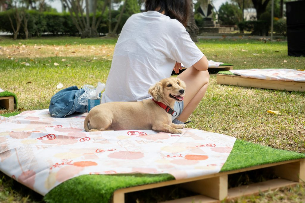 A cute dog lounging on a patterned mat with its owner sitting nearby.