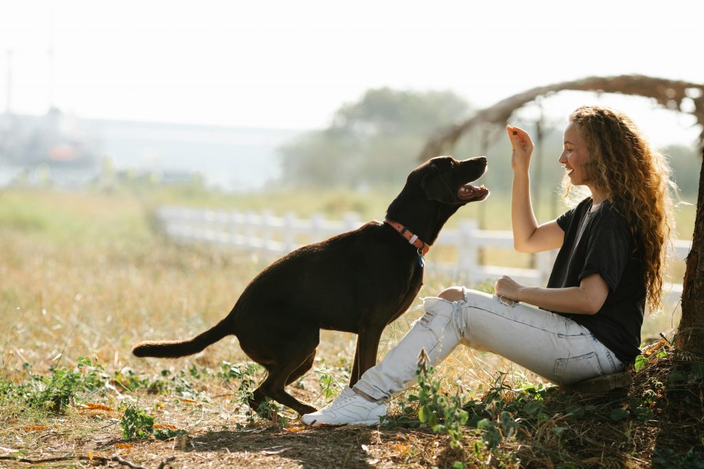 A girl sitting on the ground with a dog, laughing and playing in a field.