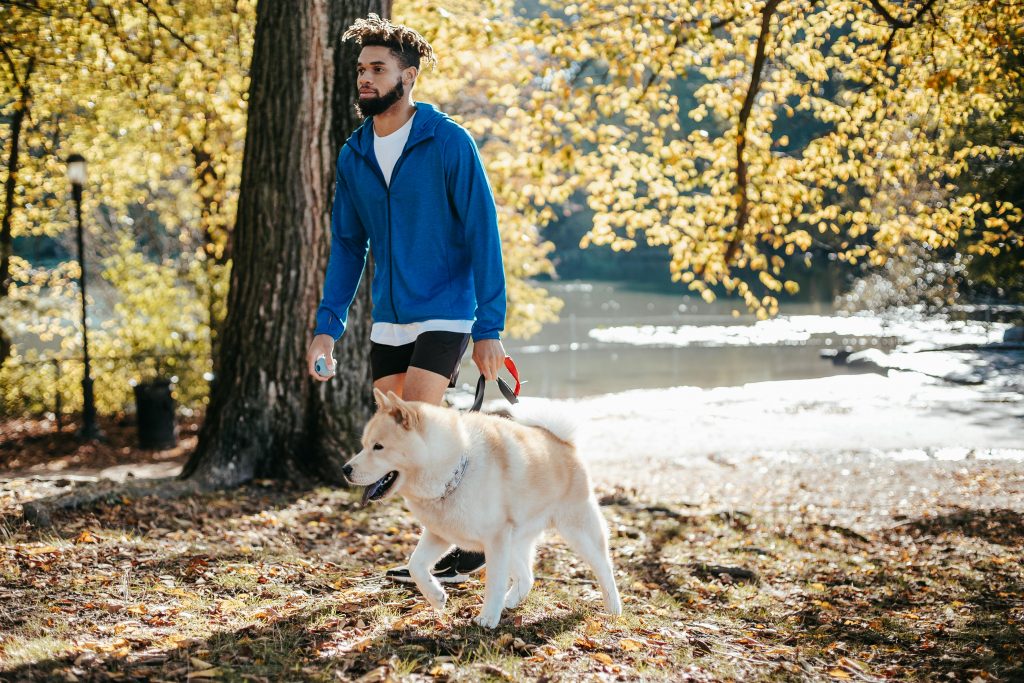A man in a blue jacket walks a fluffy dog in a park with autumn foliage.