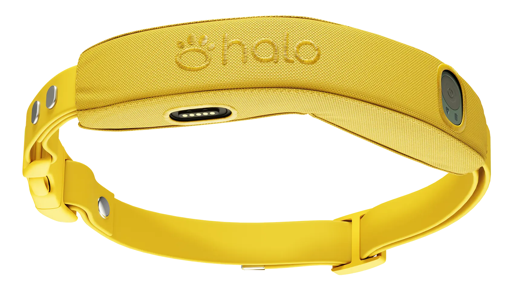 Halo Collar 5