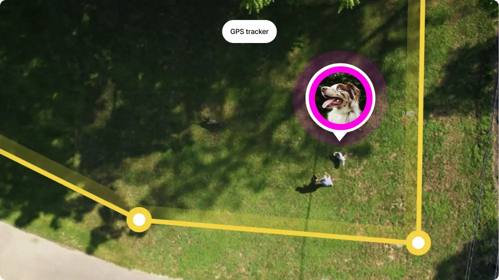 Live Tracking