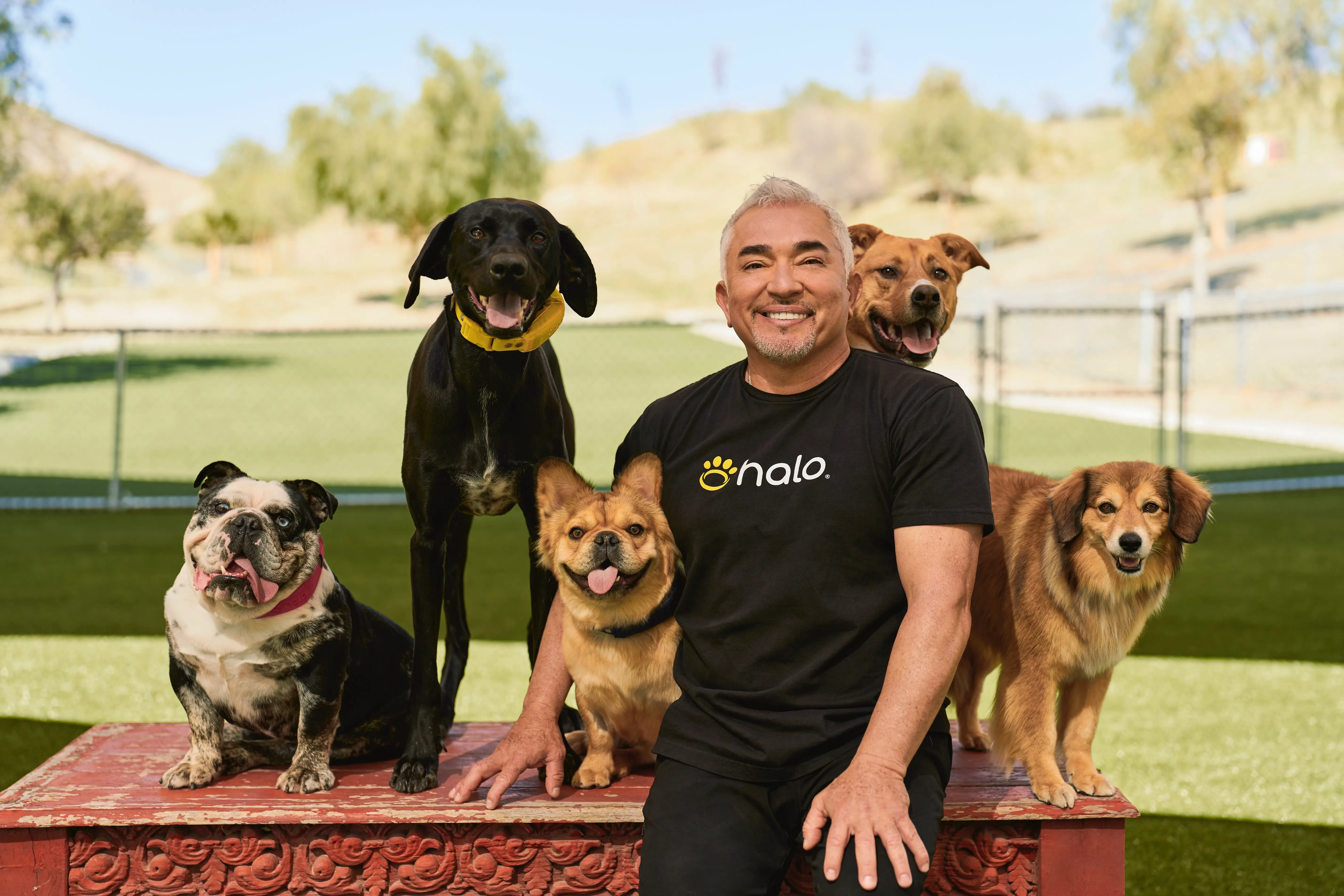 Cesar Millan outdoors at the Dog Psychology Center, surrounded by six dogs of mixed breeds