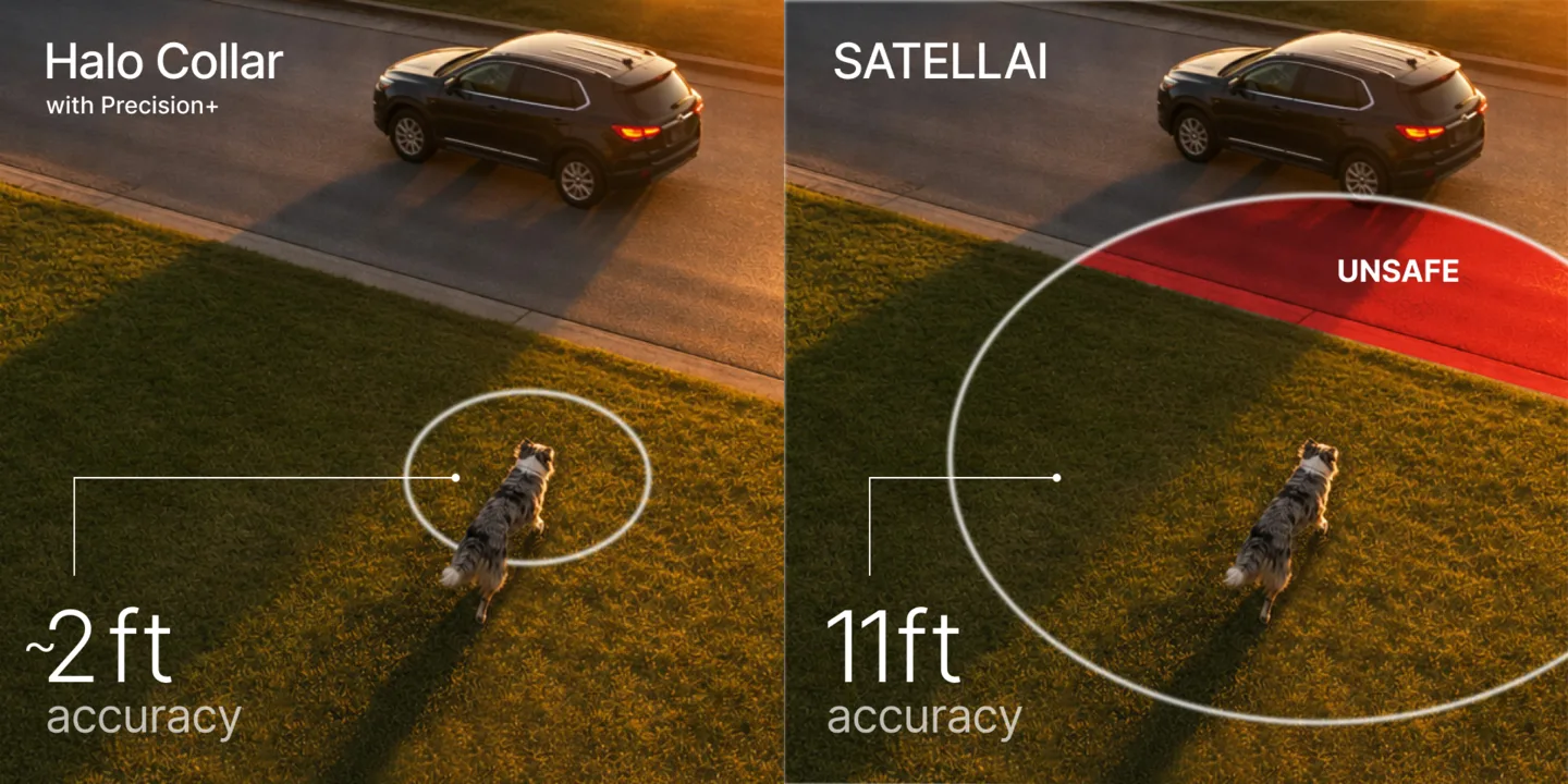 Halo Collar 5 and SatellAI GPS dog fence collars compared side by side