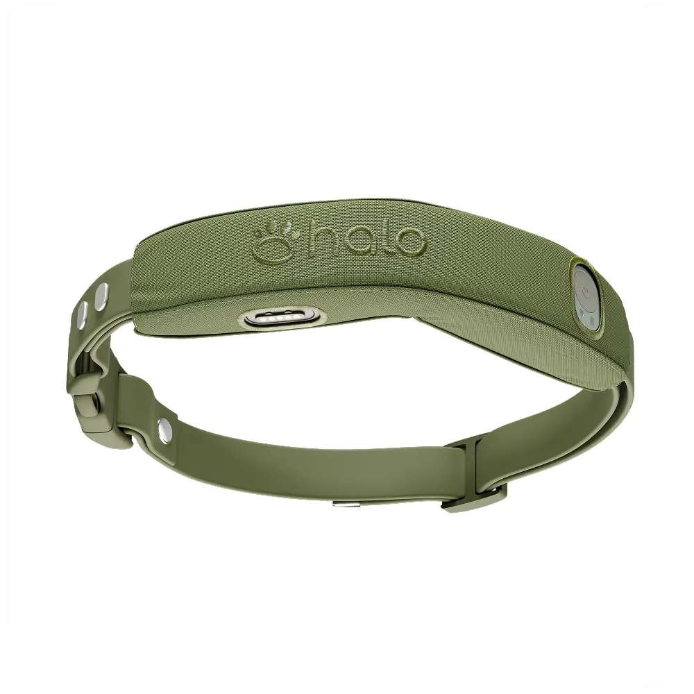 Halo Collar 5 GPS dog fence collar