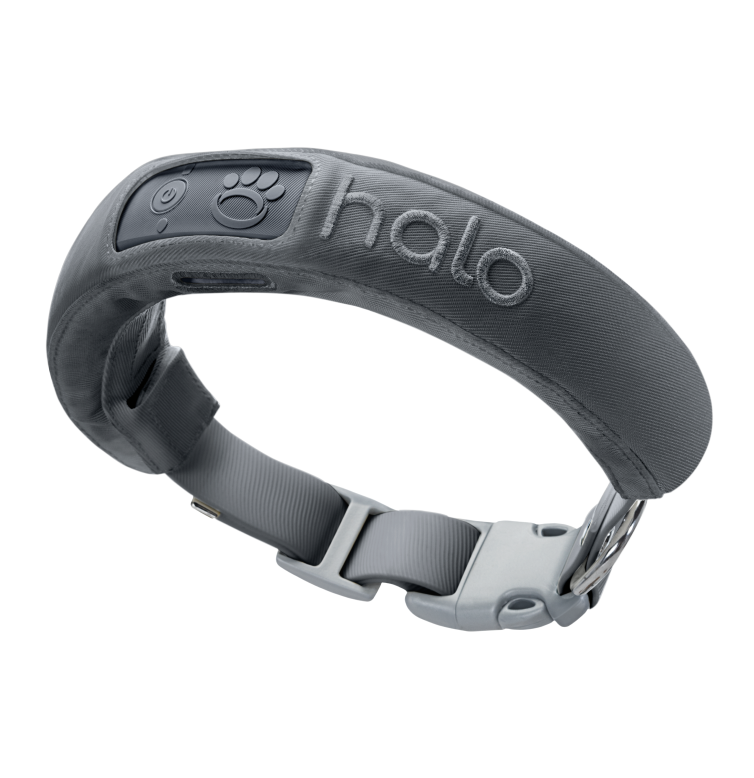 Gray collar