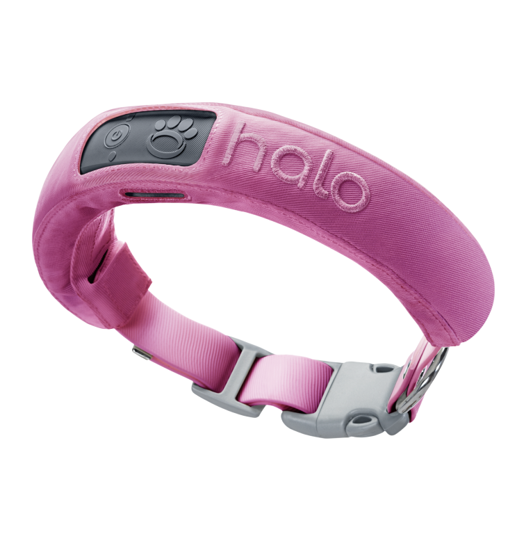 Pink collar