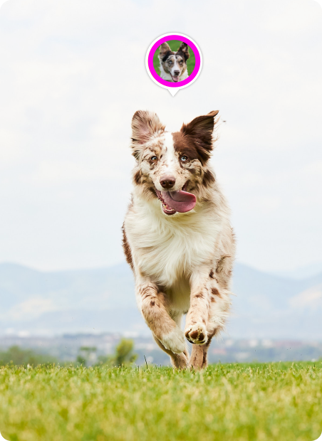 Real-time tracking