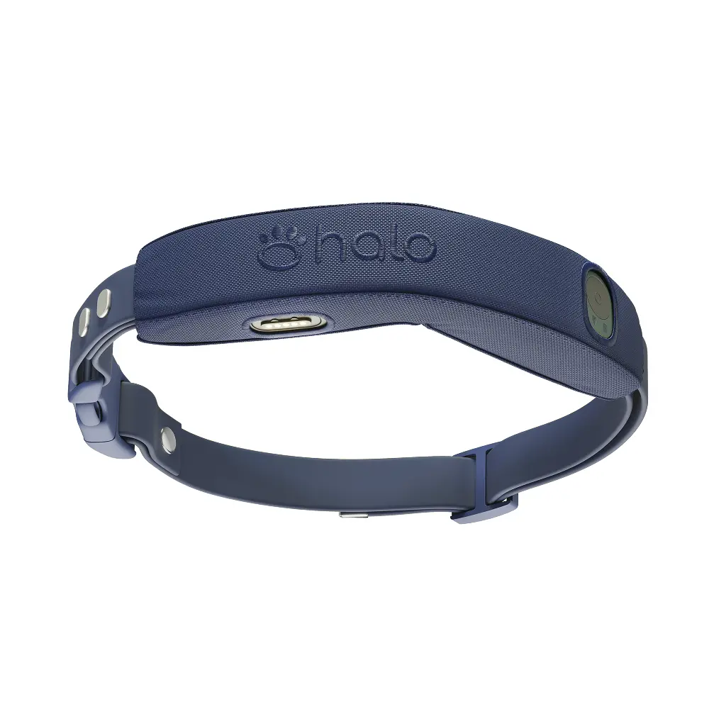 Midnight collar