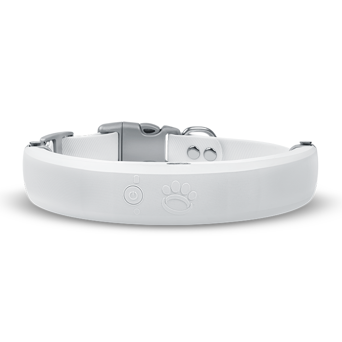 Shop GPS Dog Collar Fence & Accessories Halo Collar