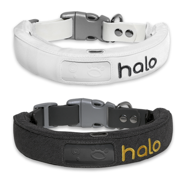 HALO-COLLAR-GREY_WHITE_700x700_COLOR