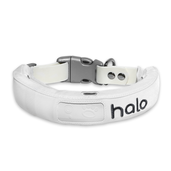 HALO-COLLAR-WHITE_700x700_COLOR