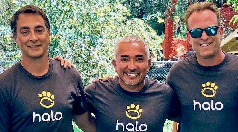 Raising the Woof: Plano-Based Halo Completes Series B with $400M Valuation
