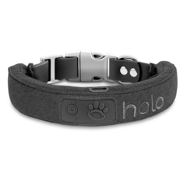 Protective cases on collars in graphite color