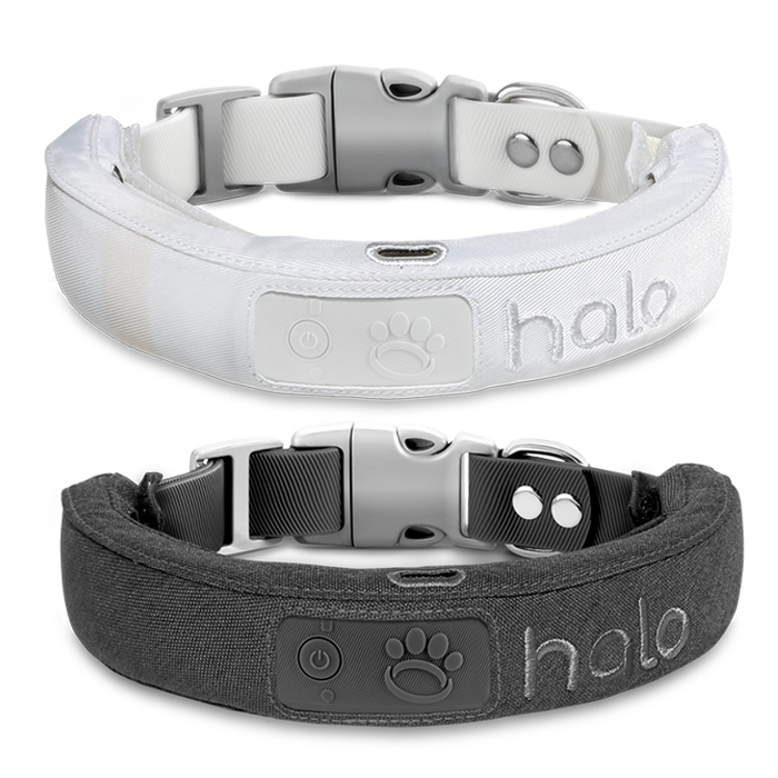 halo 2 plus dog collar cost