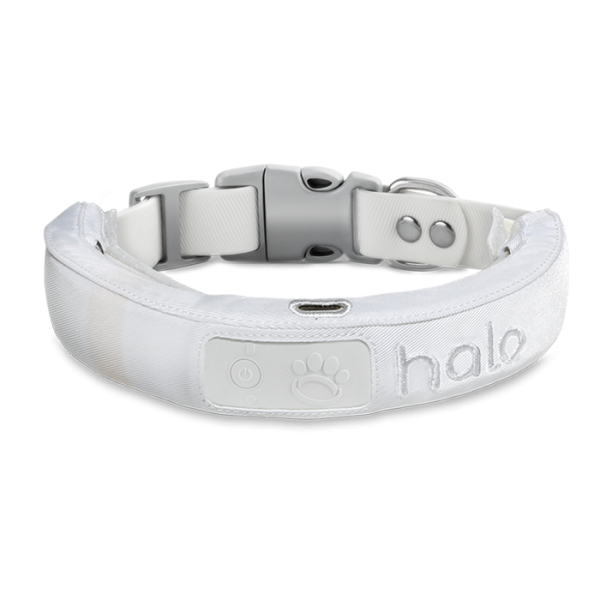 Protective cases on collars in ivory color