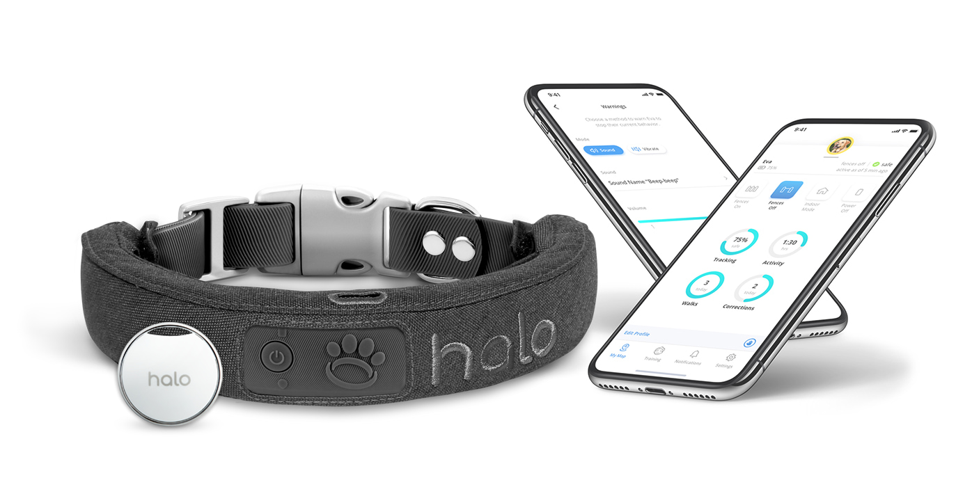 Halo collar with beacon and phone app