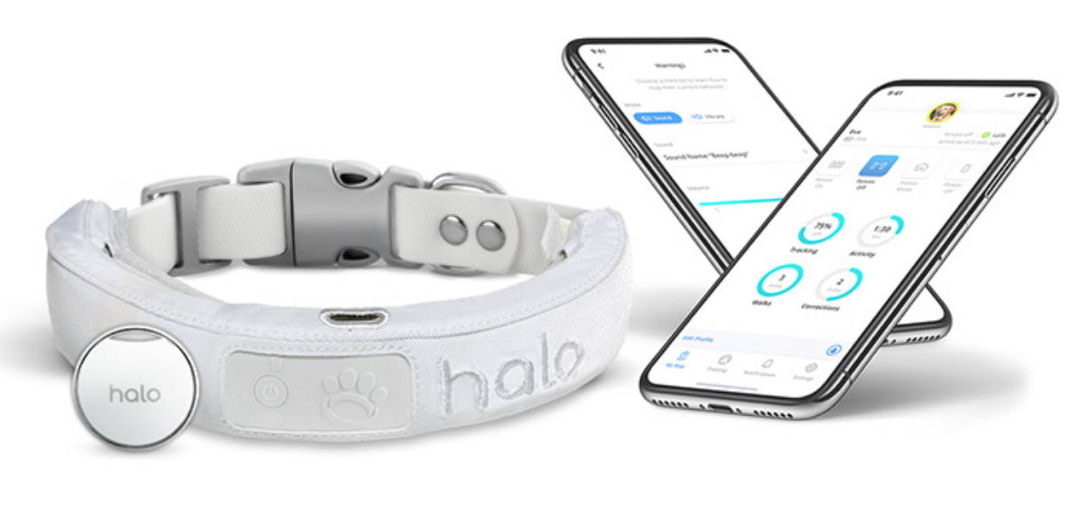 halo-app-ivory-collar