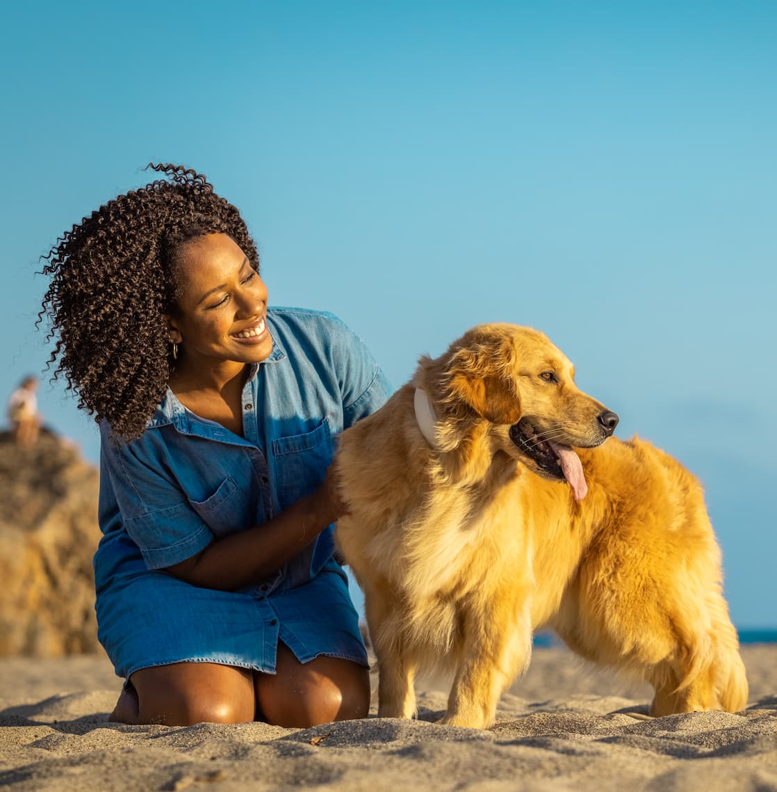 travel_with_dogs Travel with dogs