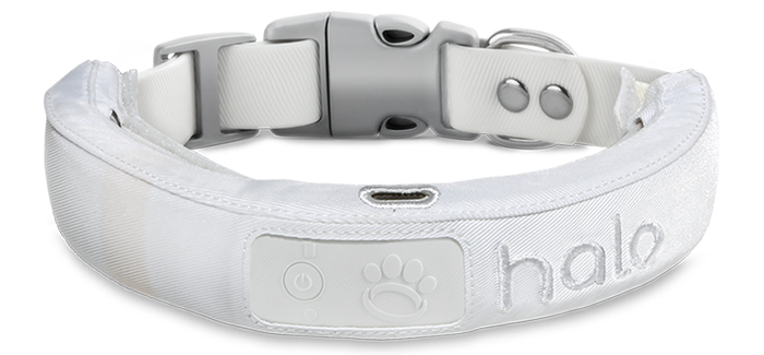 gps-dog-collar-1