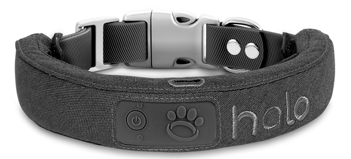 gps-dog-collar