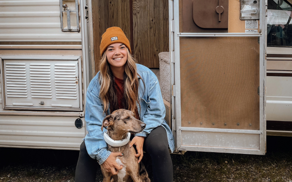Guide to Better RV Travel with your Dog Halo Collar