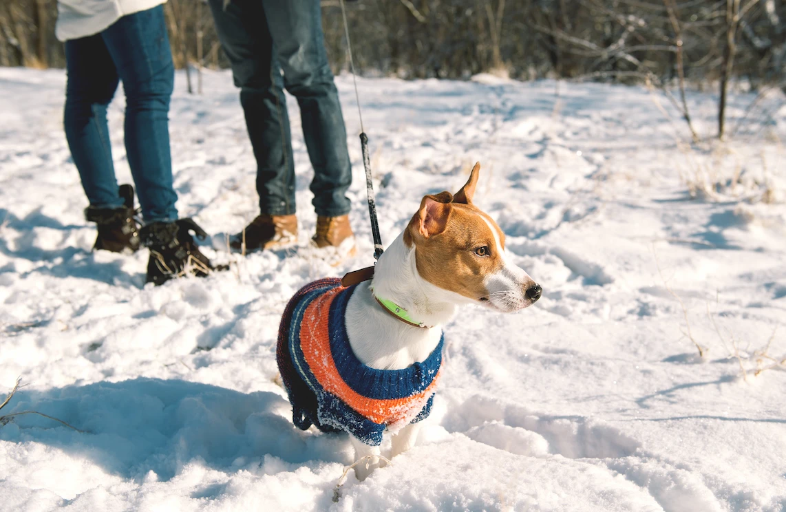  PUPTECK Winter Dog Cat Sweater Coat - Soft Cold