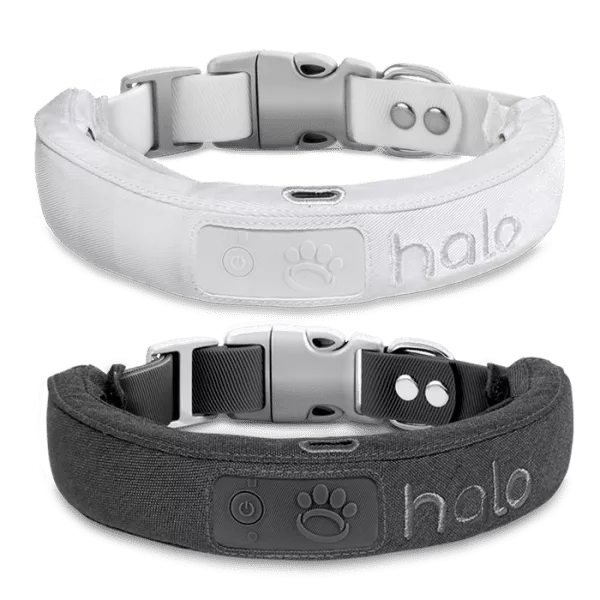 Halo 2+ GPS Dog Collar
