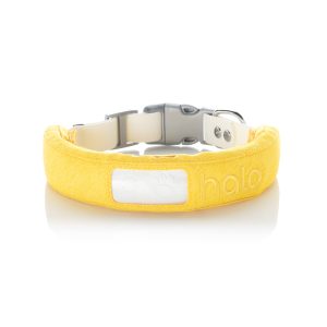 Protective cases on collars in sunburst color