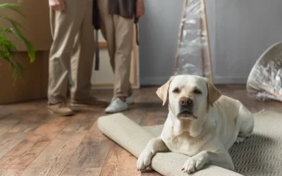 Popular Dog Names & What They Mean