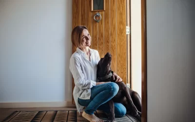 Helping Pet Owners Choose the Perfect Dog Door