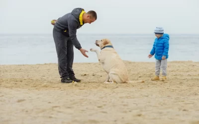 How to Teach Your Dog to Shake: A Step-by-Step Guide