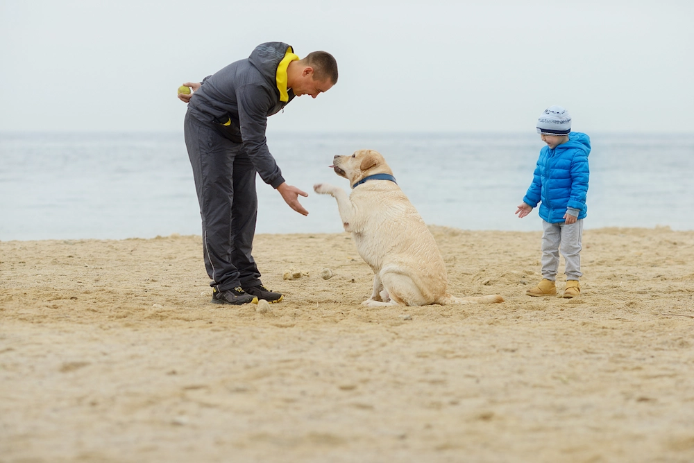 Dog paw and human hand doing a handshake outdoors