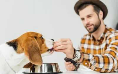 Understanding Dog Food Labels: How to Choose the Right Amount of Food