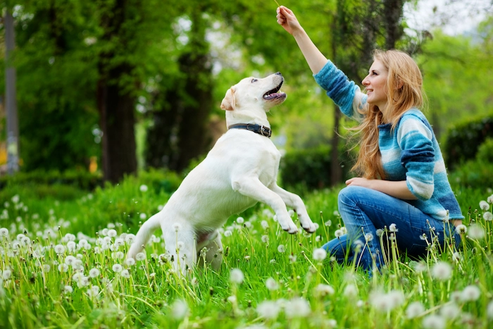 Woman with labrador