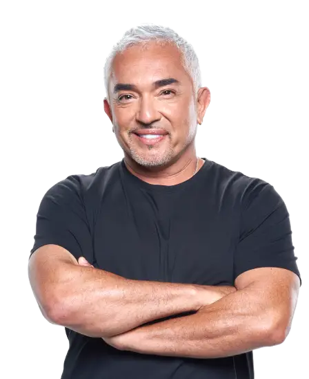 Cesar Millan
