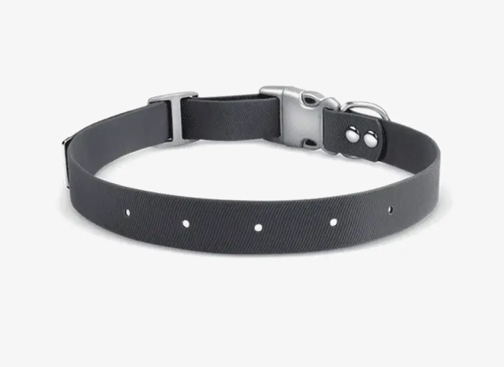 Halo Collar Strap