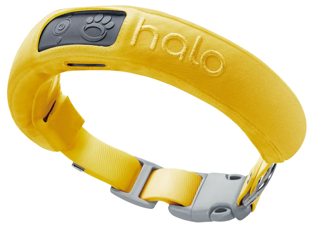 GPS dog collar