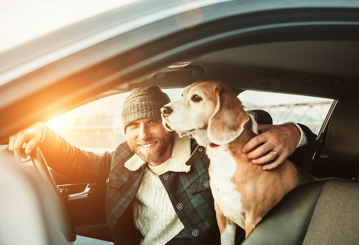 Man traveling with his beagle dog by auto