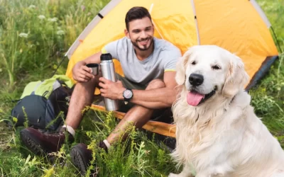 The Benefits of Camping With Your Dog: How to Plan the Perfect Outdoor Adventure