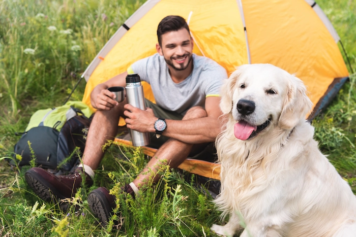 A man camping with a golden retriever dog