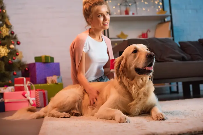 Beautiful smiling young blonde woman sitting on floor with golden retriever dog at Christmas time