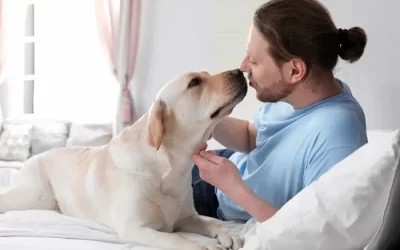 Understanding Your Dog’s Love Language