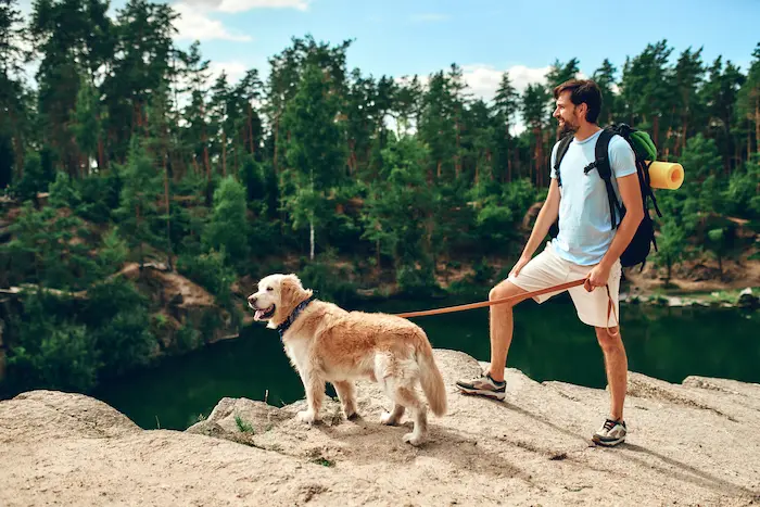 A male hiker with a backpack and a labrador dog