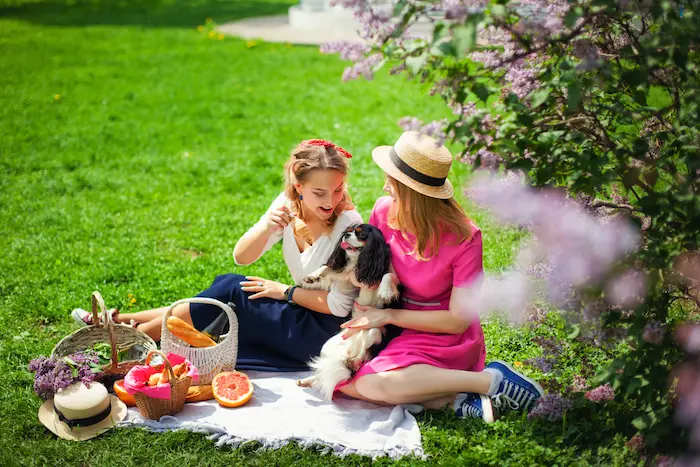 Happy girls in the lilac garden on a picnic with a dog