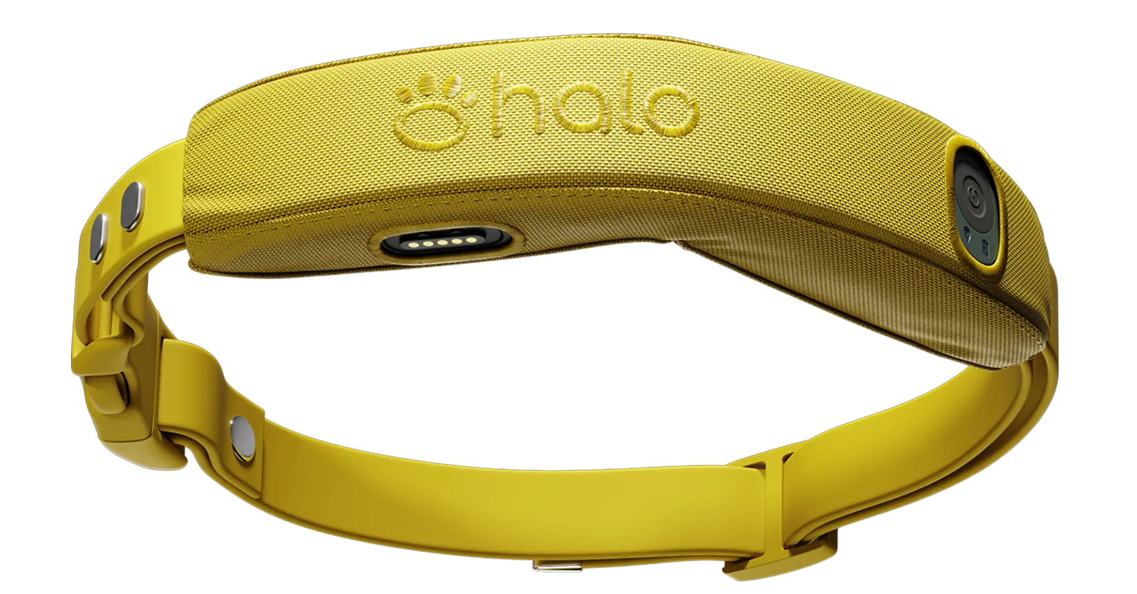chosen collar
