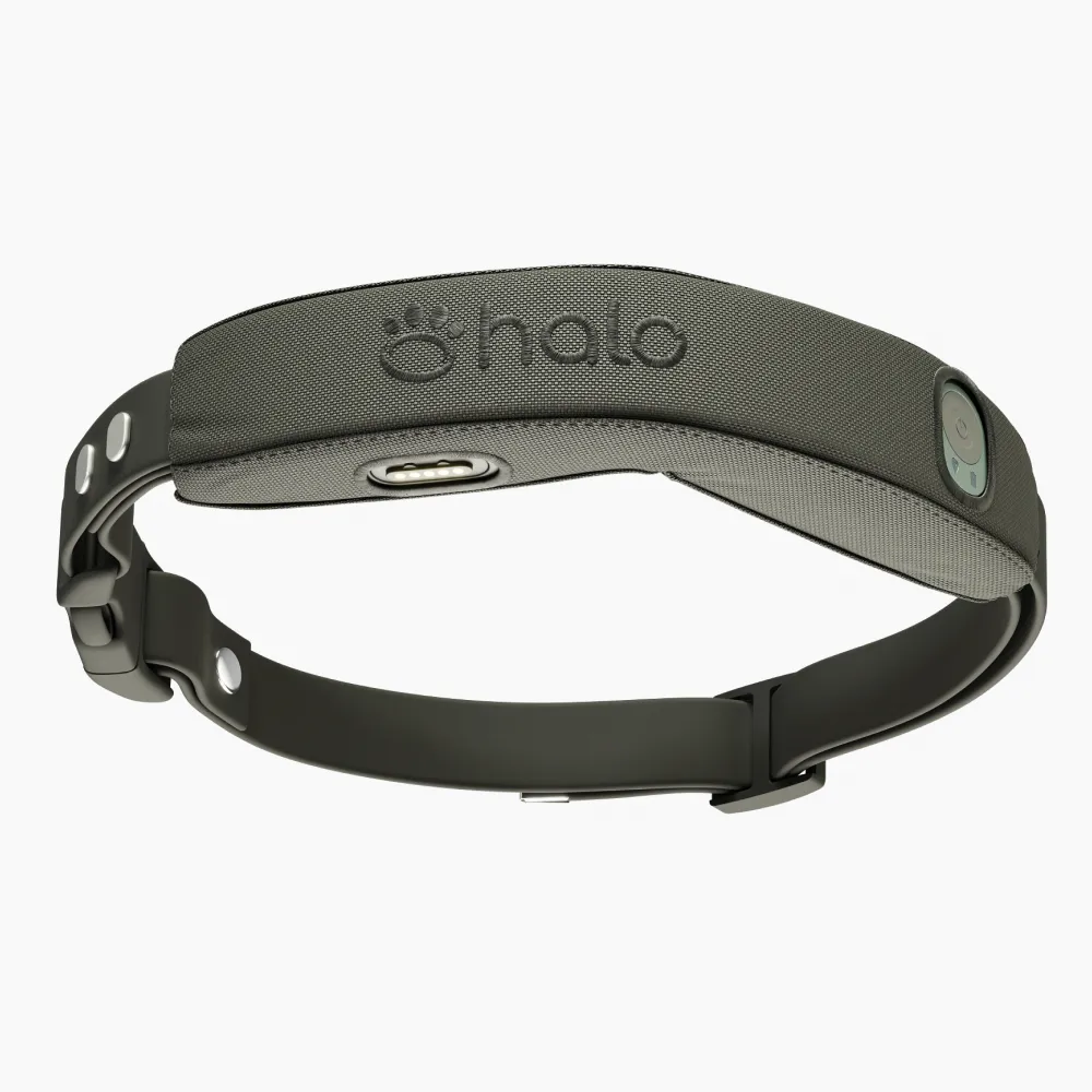 Gray collar