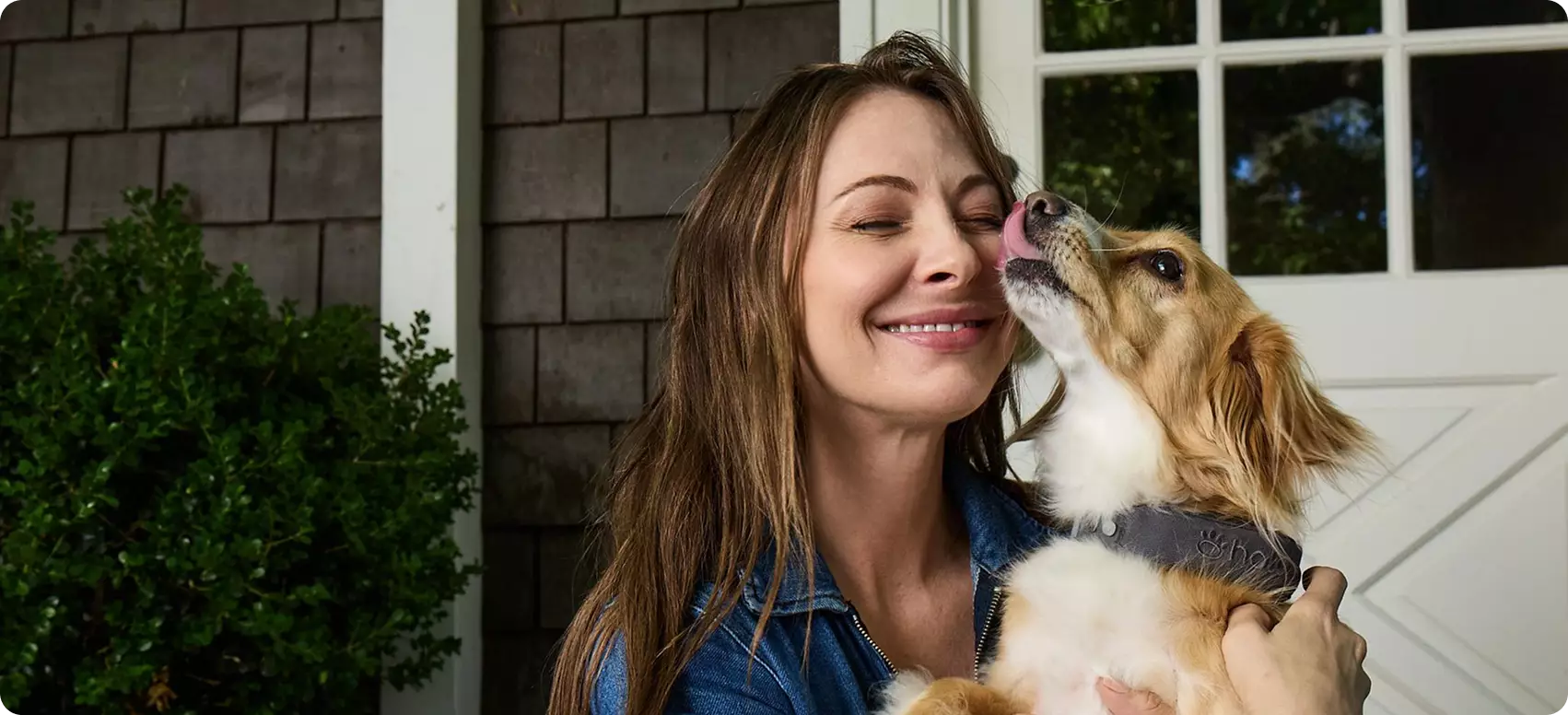 Pro Case for Halo Collar 4